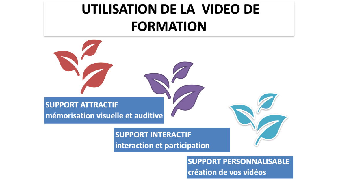 utilisation de la vidéo de formation video